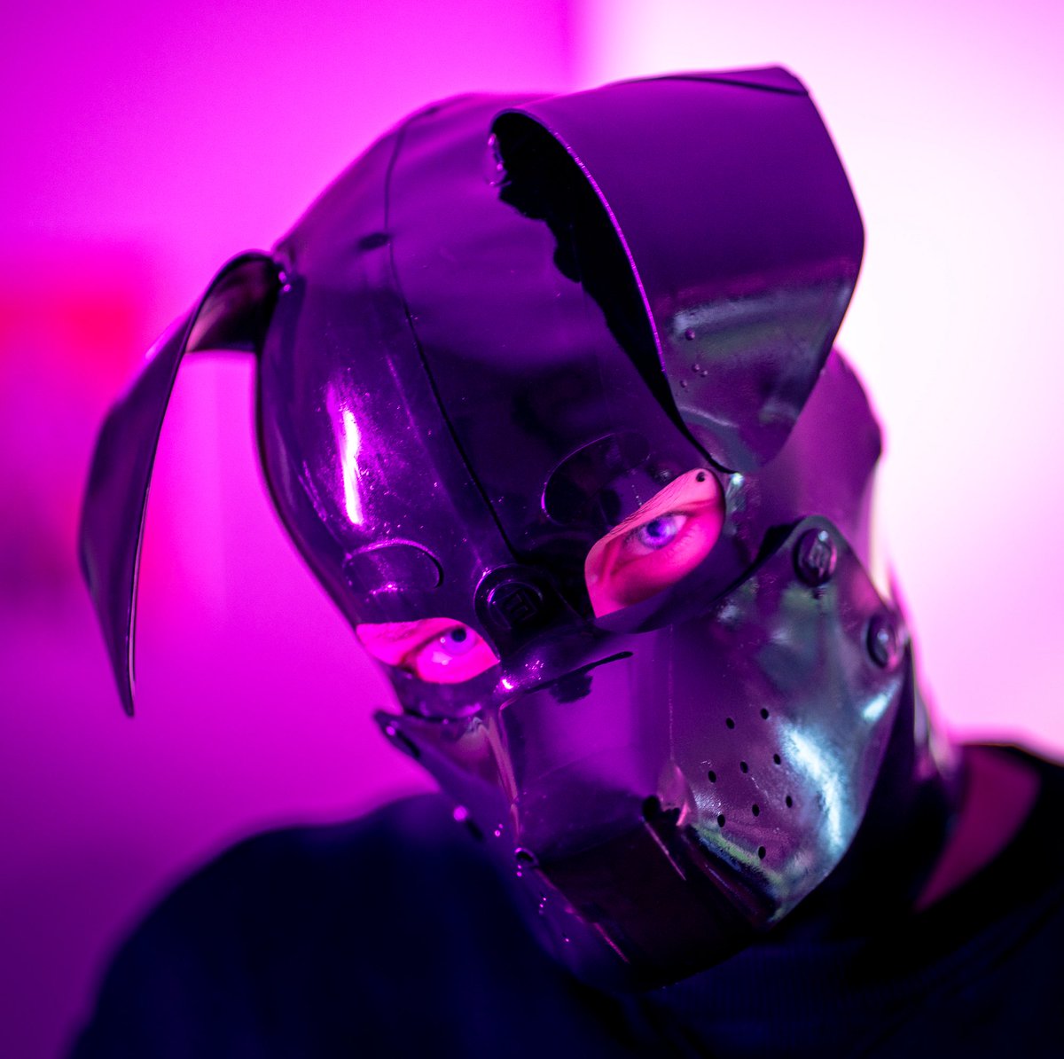 Pup Kian tweet media