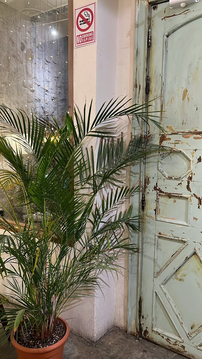 " وغداً نشفى ، وغداً ننسى ، وغداً نلهو وغدا ندرك ان لاشيء يبقى "