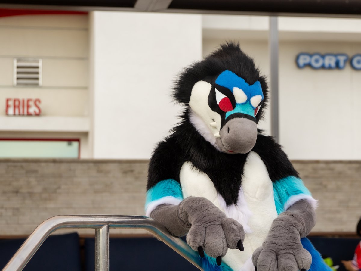 Join me in the water? #FursuitFriday

📸 <a href="/Kurrikage/">@Kurrikage.me 🟦☁️</a>
✂️ <a href="/hounds_teeth/">houndsTEETH</a>