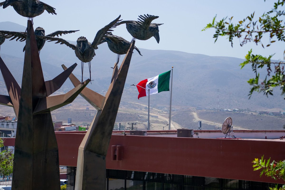 Universidad Tecnológica de Tijuana (UTT) tweet media