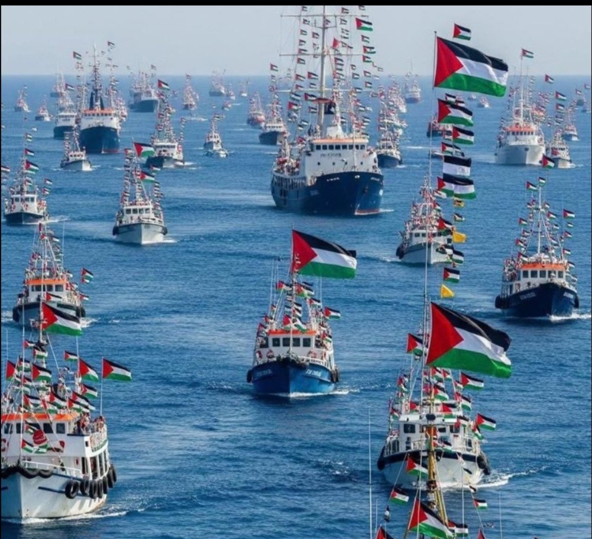 SerdarMercan54's tweet image. Bu tweeti gören herkes 
yoruma #SumudForGaza yazabilirmi!

Bugün Dünya gündemini sallayacağız!

Terörist İsrail.
Terrorist İsrael