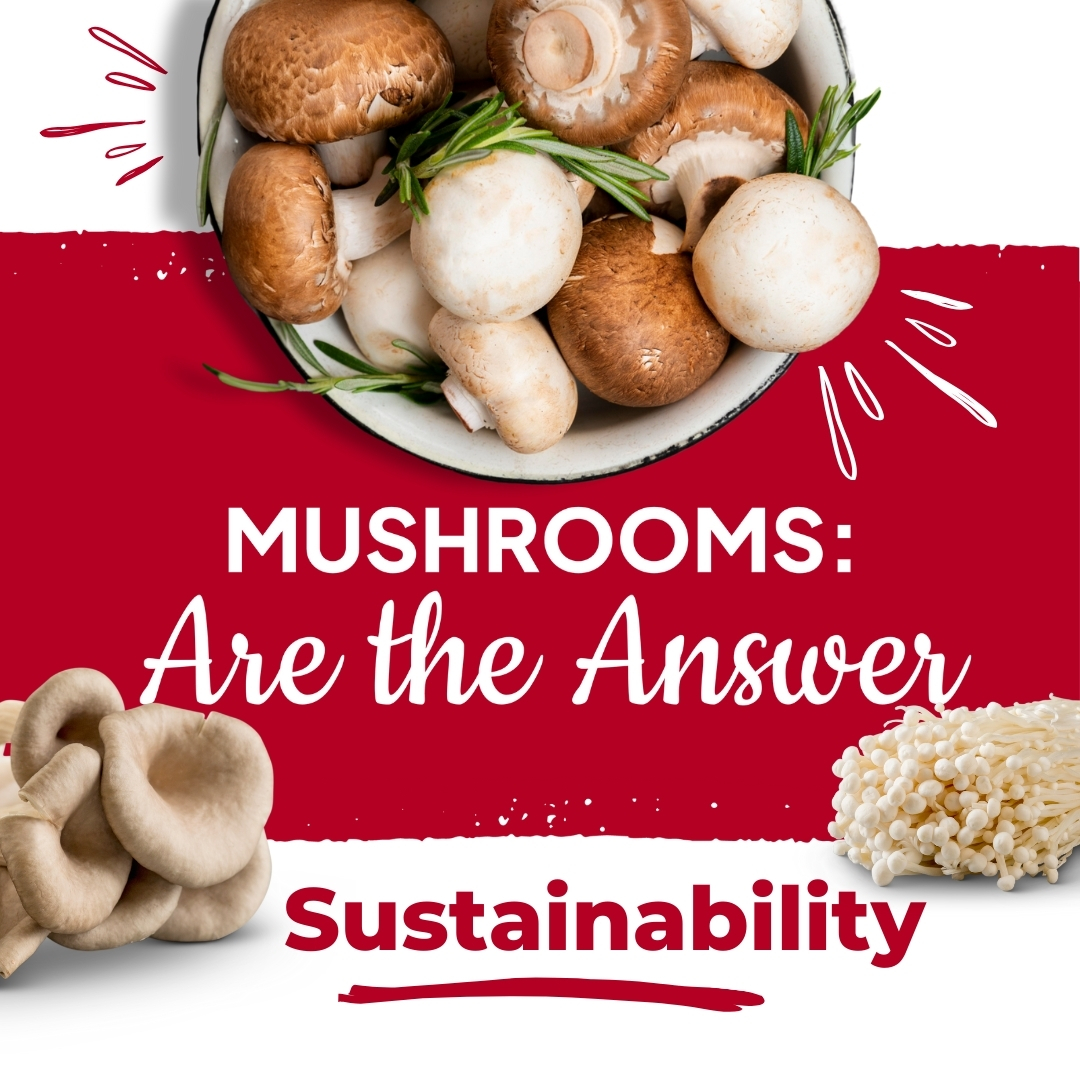 Mushrooms Canada tweet media