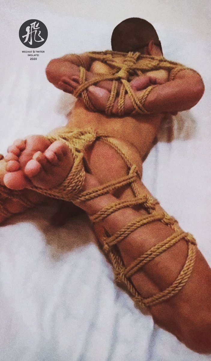 飛 (@imolafei) on Twitter photo 