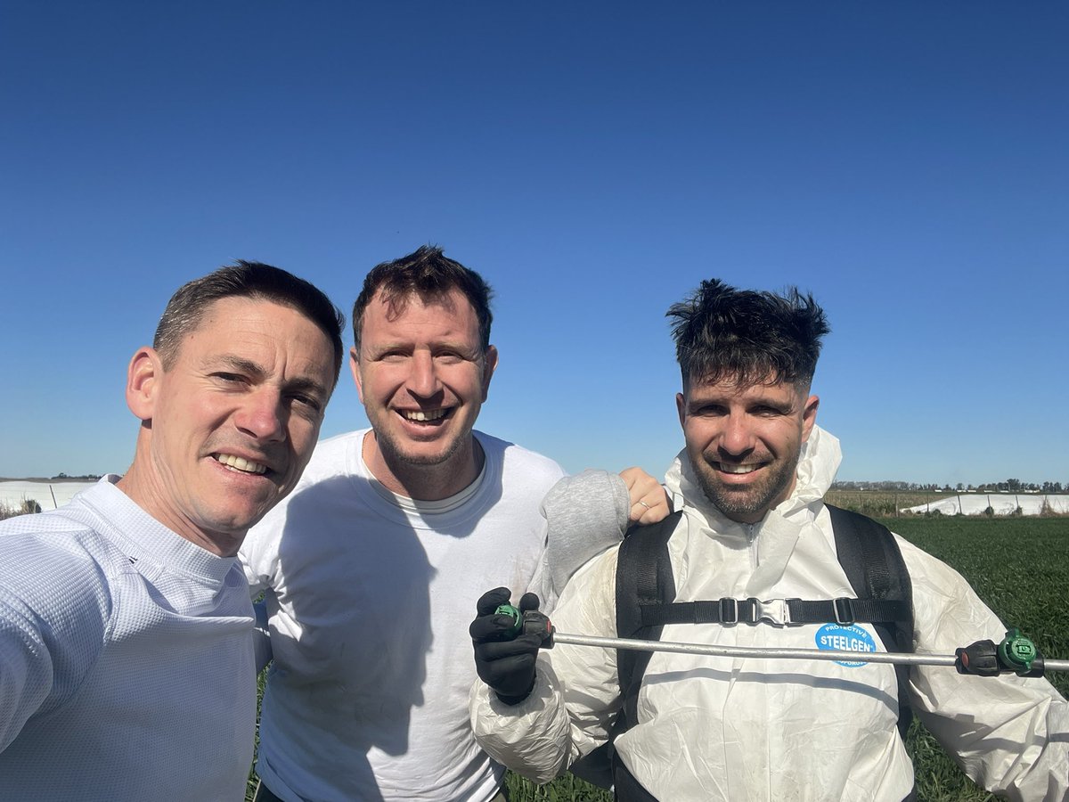 Hay respuesta a los fertilizantes biológicos foliares?

Diferentes dosis de N, complemento con bacterias fijadoras.

A evaluar respuestas!