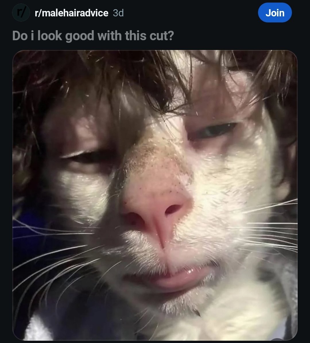 BananaZ (@somebananaz) on Twitter photo 