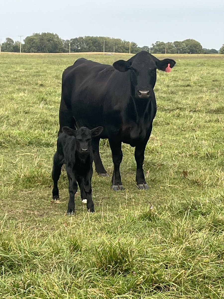 Maria Cox tweet media