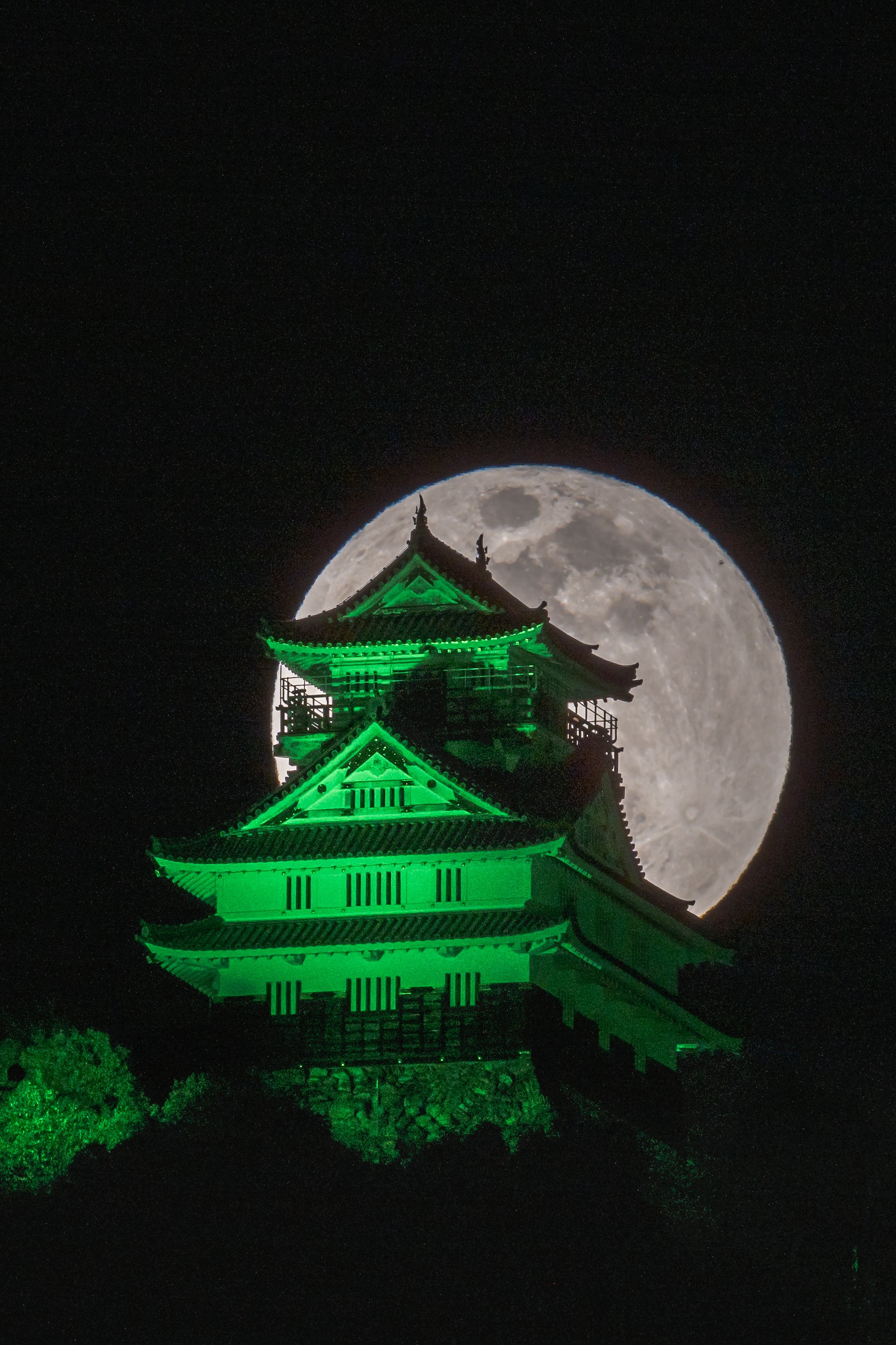 玉城ティナ 直筆サイン入り 赤瓦コースター 玉城ティナ 直筆サイン入り