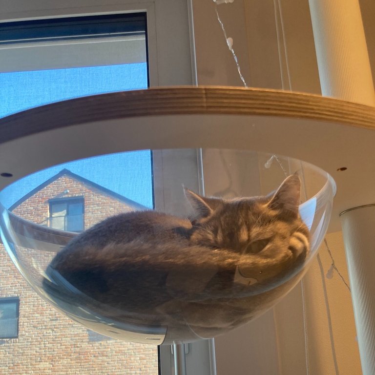 1/1-1/31 (물고기 마음, 해적방송) mulgogi.net/archives/27195