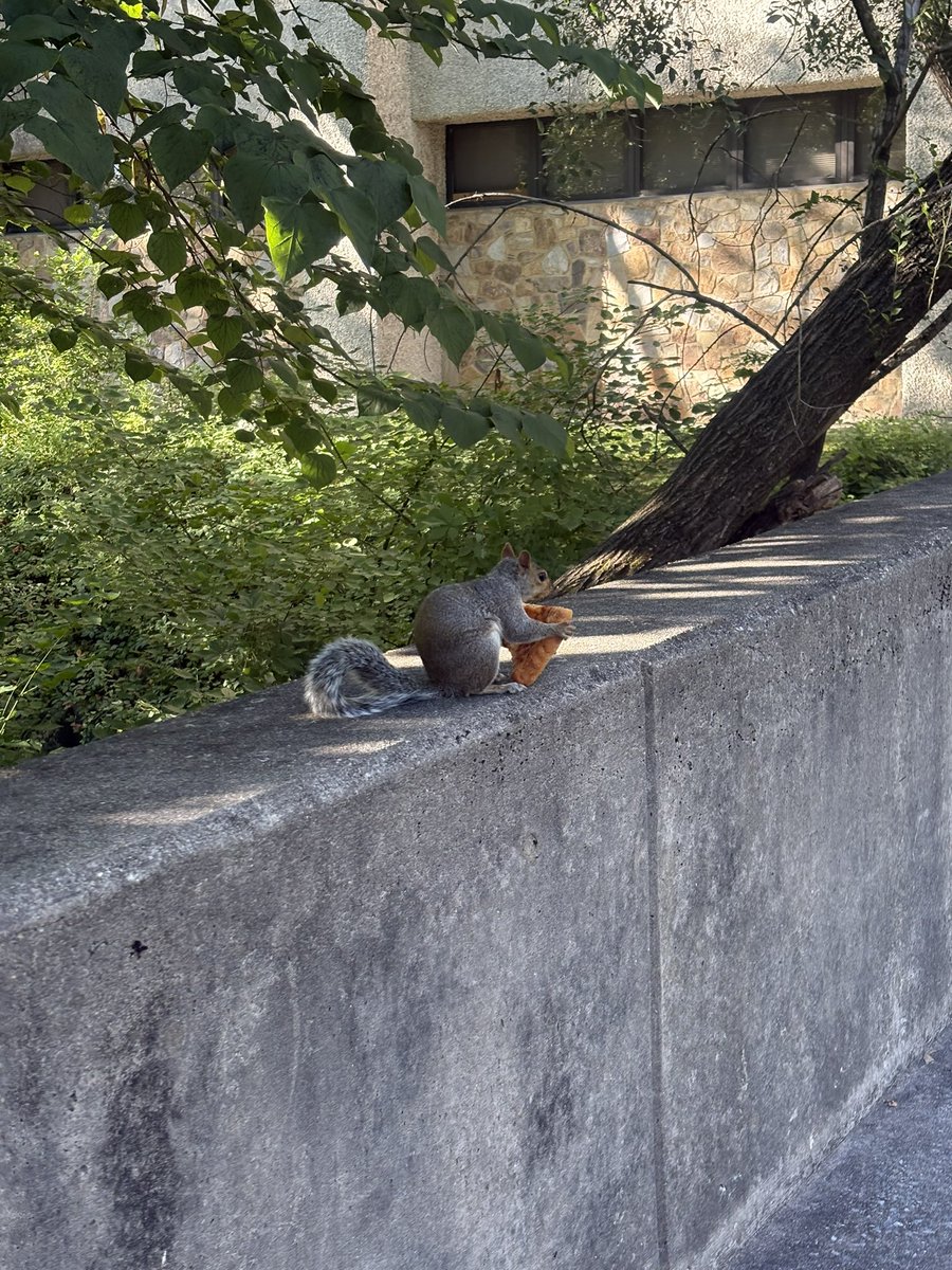 7th year: alyssa tweet media