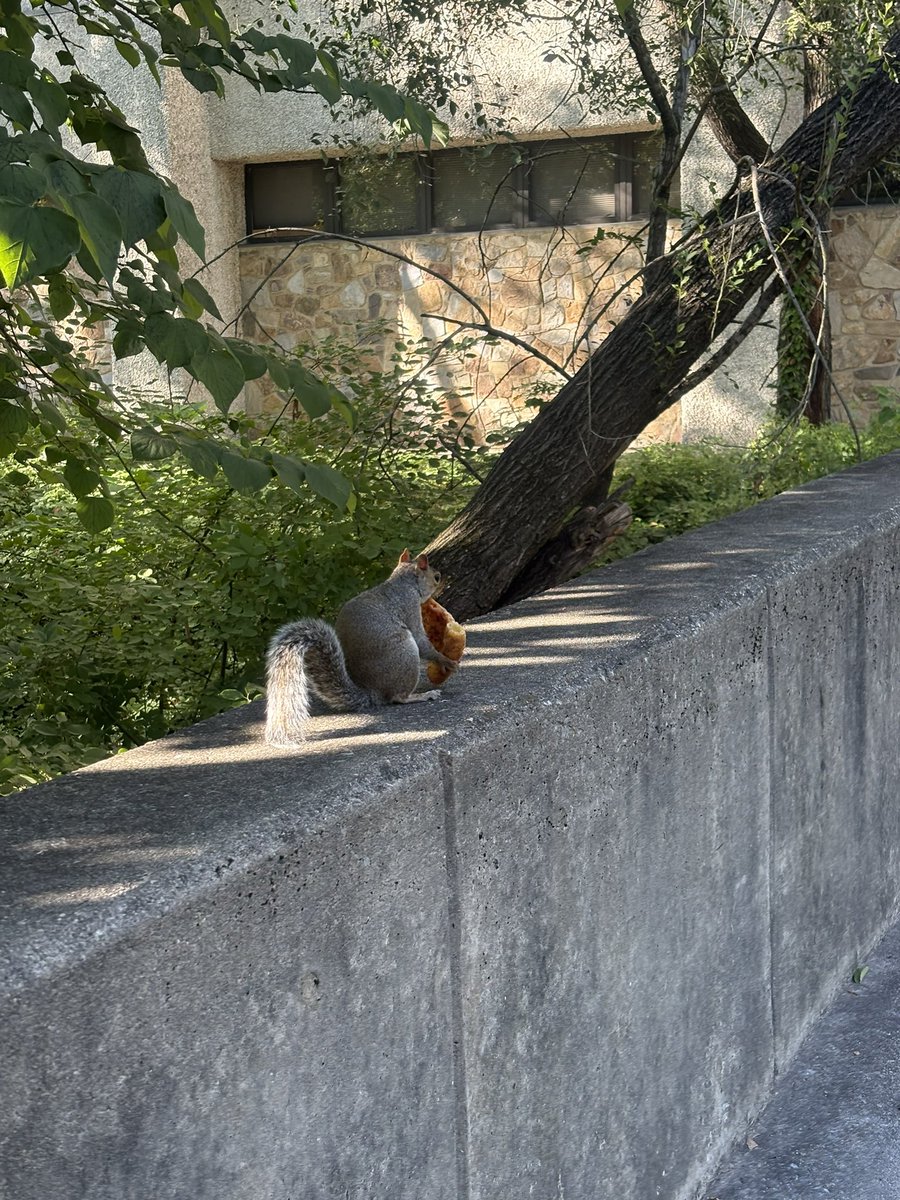 7th year: alyssa tweet media