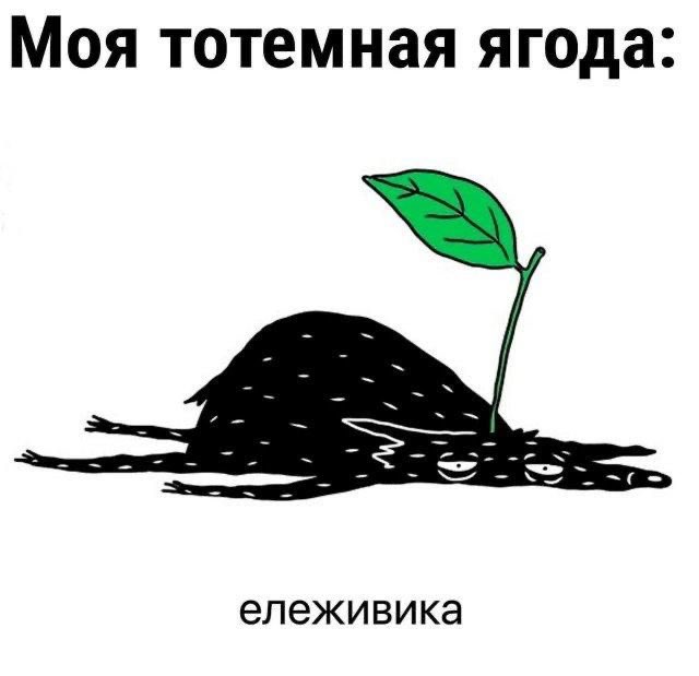 gloaatgram's tweet photo. @memesmymemes https://t.co/1lfDMvvOyF