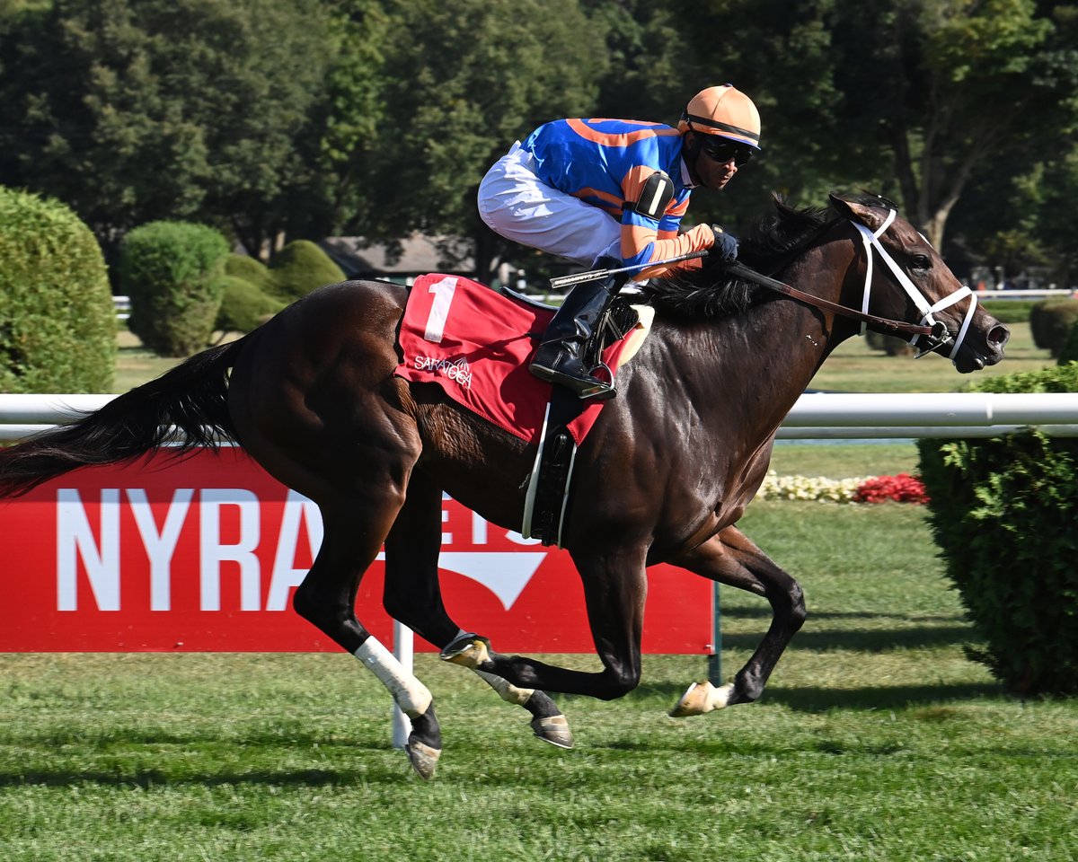 hipicaglobal's tweet image. Final Score 🇺🇸 (Not This Time en Precious Dixie por Bernardini), de extremo a extremo y con excelente finnal, ganó fácil, en el With Anticipation Stakes G3 @TheNYRA #28Ago, e hizo tiempo ⏱️ de: 1’41”75 (1700). Montó, Kendrick Carmouche y entrenó, Todd Pletcher
📸:…