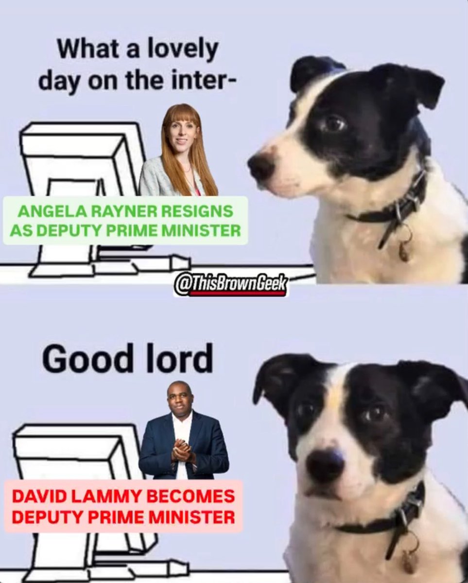 Christopher Lambe tweet media