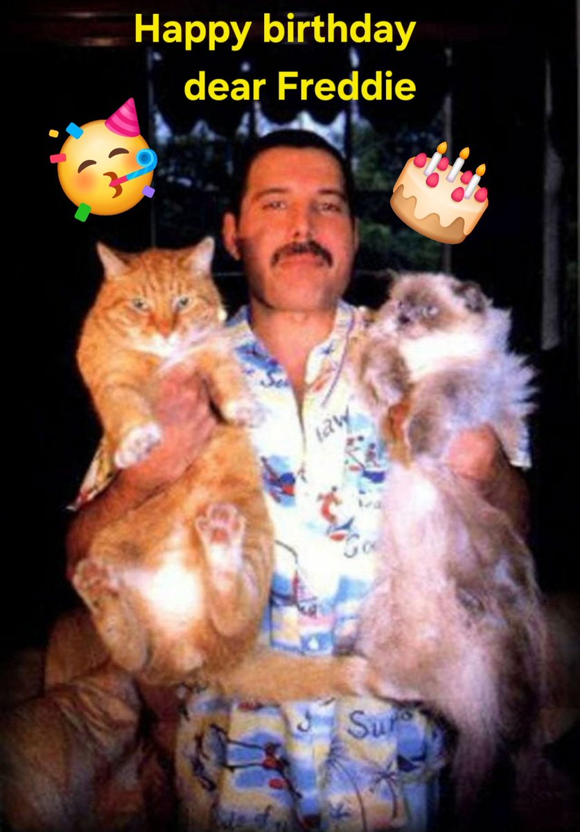 Tiger lily of the valley tweet media