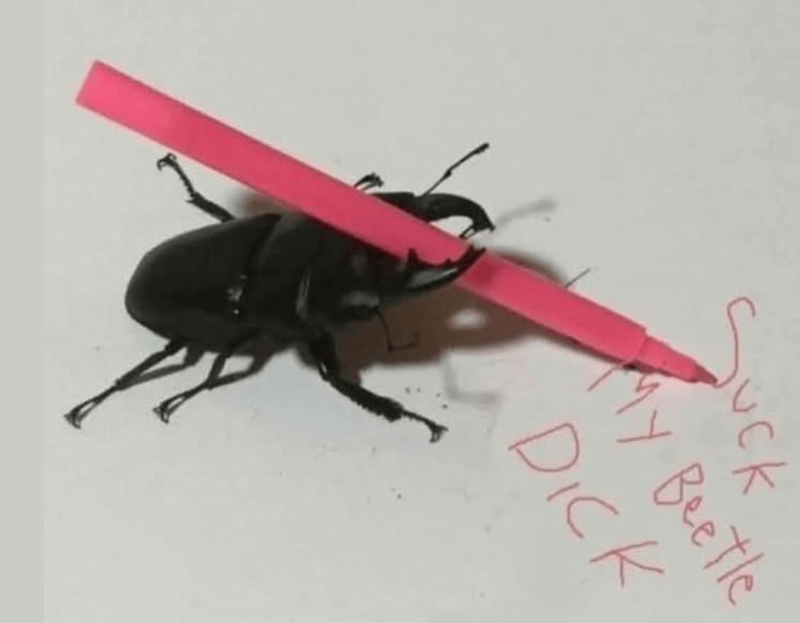 Dorg (@dorglasrhodes) on Twitter photo 