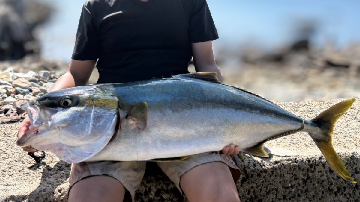 釣り好き 釣り好き様専用 釣り好き先輩様の専用です 釣り好き先輩様の