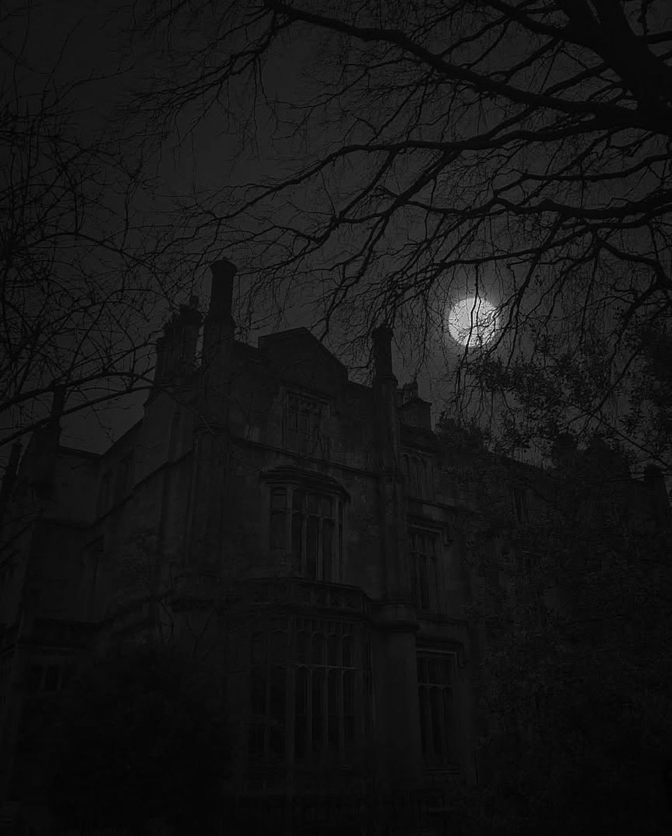 𝔈𝔮𝔲𝔞𝔱𝔢 𝔗𝔥𝔢 𝔇𝔦𝔰𝔰𝔬𝔫𝔞𝔫𝔠𝔢 tweet media