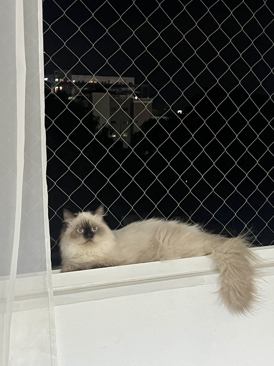 Alguien me espera cuando llego a Santiago.