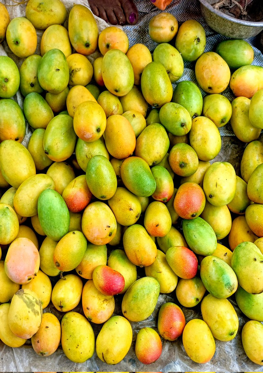 Sweet Mango in my area.