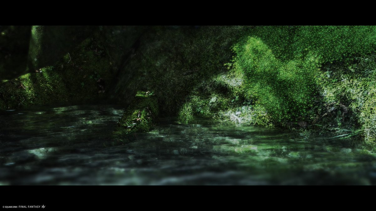 水草🜸 tweet media