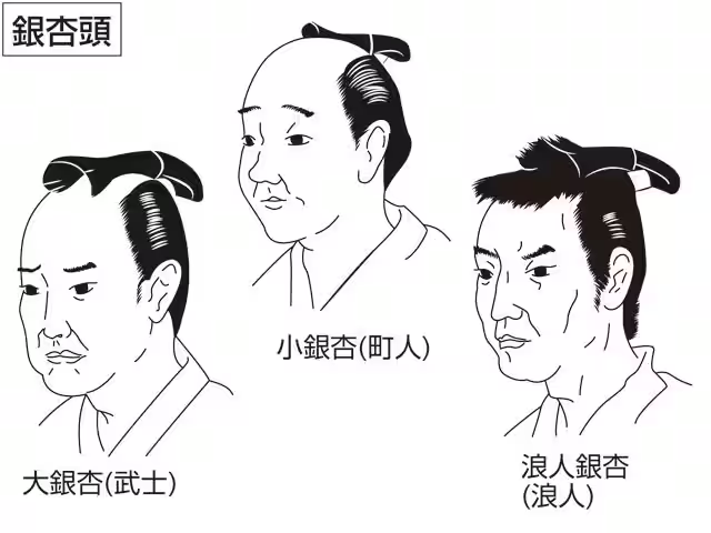 銀杏髷は武士の結う大銀杏（後頭部の髱をぴったり撫で付け、髷は長く大きい。側頭部の小鬢は自然に残す）と、町人の結う小銀杏（髱は膨らみ、髷は一般的 ...