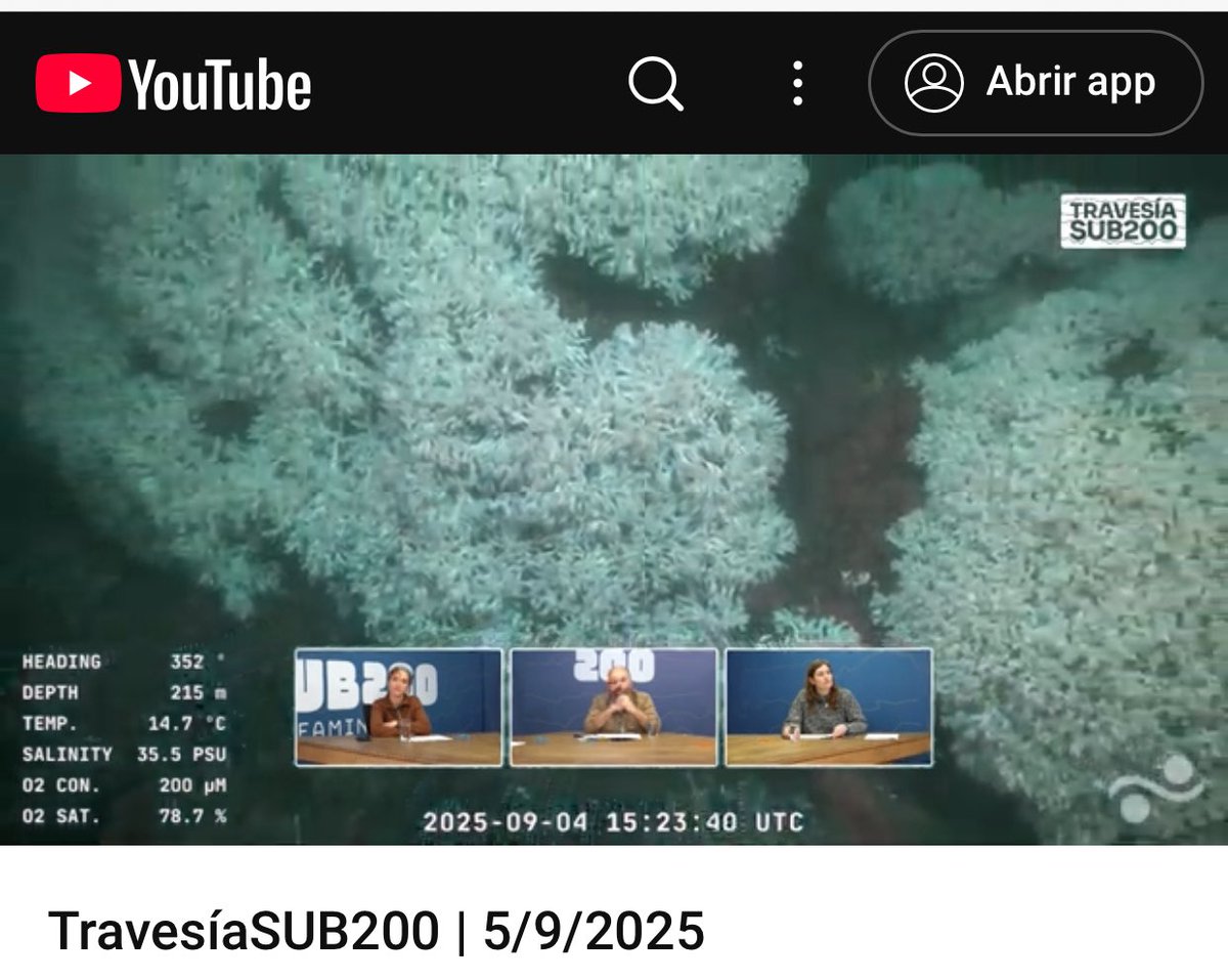 Ahora en  vivo  #TravesíaSUB200,  en el canal de YOUTUBE del MEC 

➡️ youtube.com/user/MECUrugua…

Todo sobre el recambio de investigadores para comenzar la 2da etapa de la expedición.

Mucha información sobre los corales 

¿Preguntas? 098 987 991

#UruguaySUB200