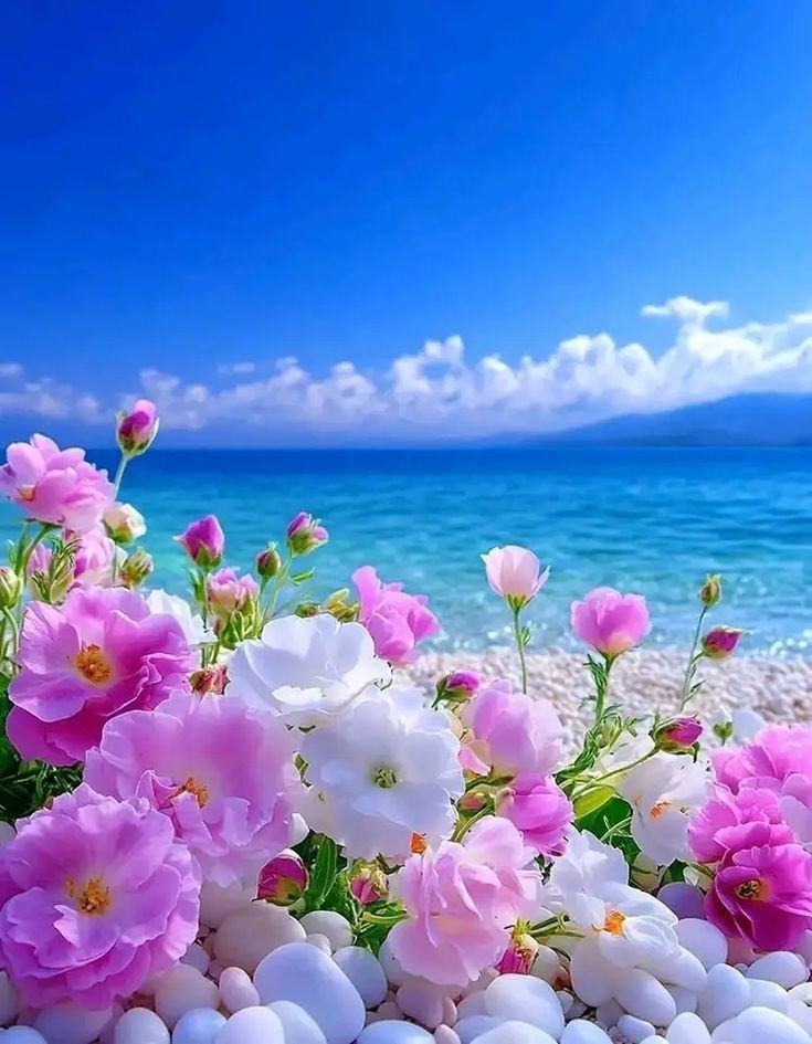 Amazing eyes (@amazingeyes89) on Twitter photo 