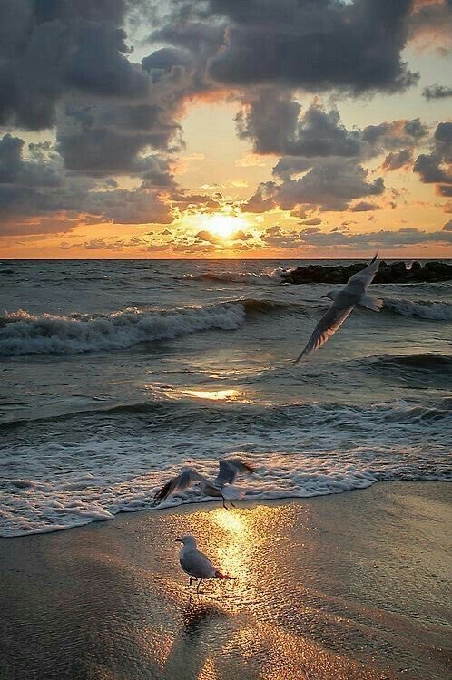 °~• Somewhere •~° tweet media