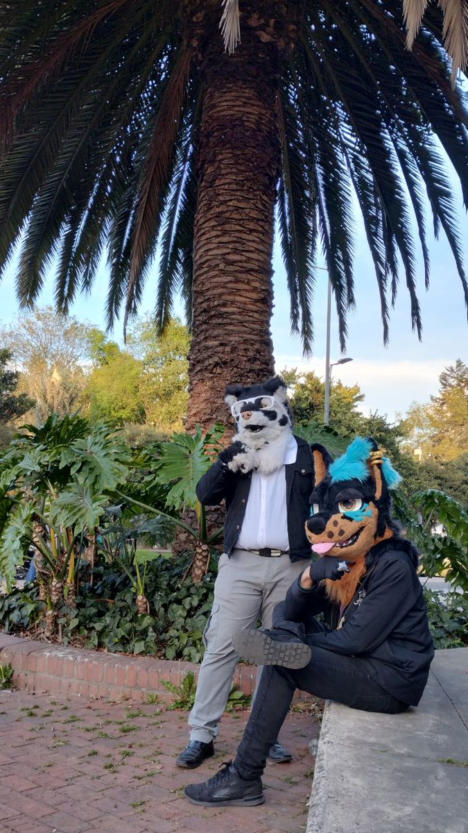 Street dogs, with style.
#FursuitFriday 🐺🐶✨🐕
