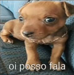 letras's tweet photo. que falta eu sinto de um bem
que falta me faz um xodó https://t.co/144AiU6TBk