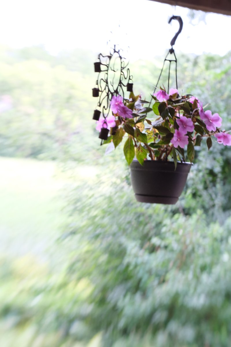 lumitakesphotos's tweet photo. Testing manual focus tilt lens https://t.co/OMRF3C9tOz