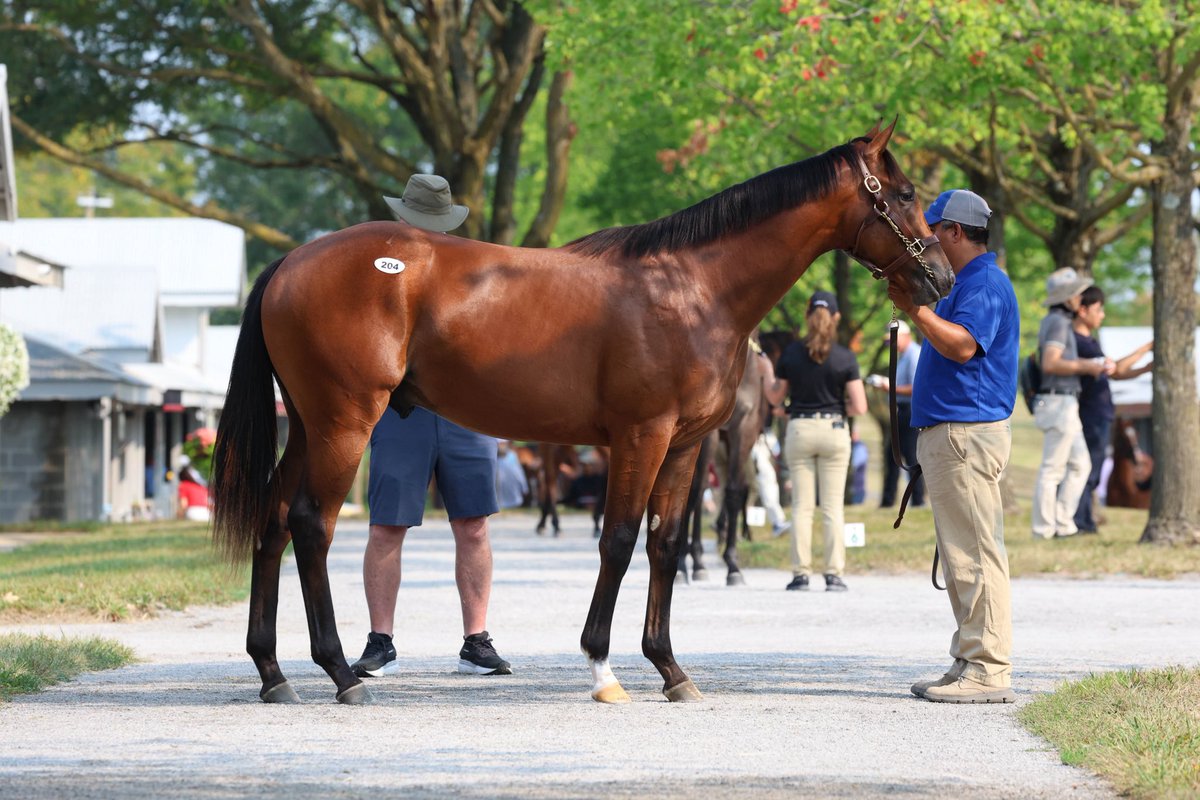 Elm Tree Farm tweet media