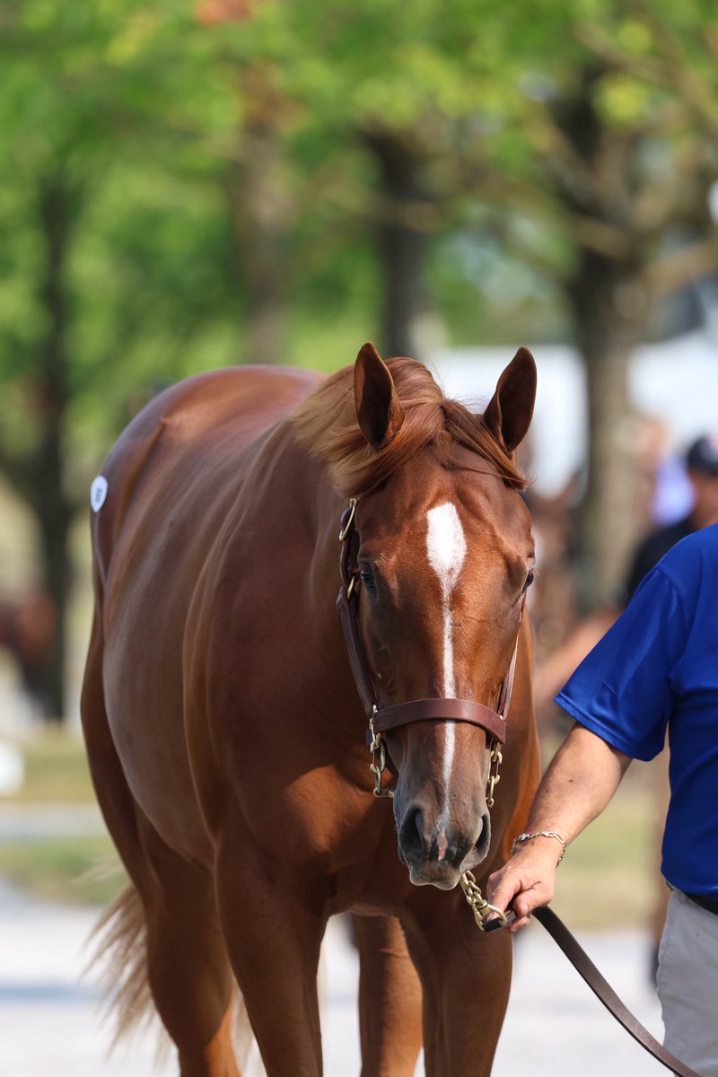 Elm Tree Farm tweet media