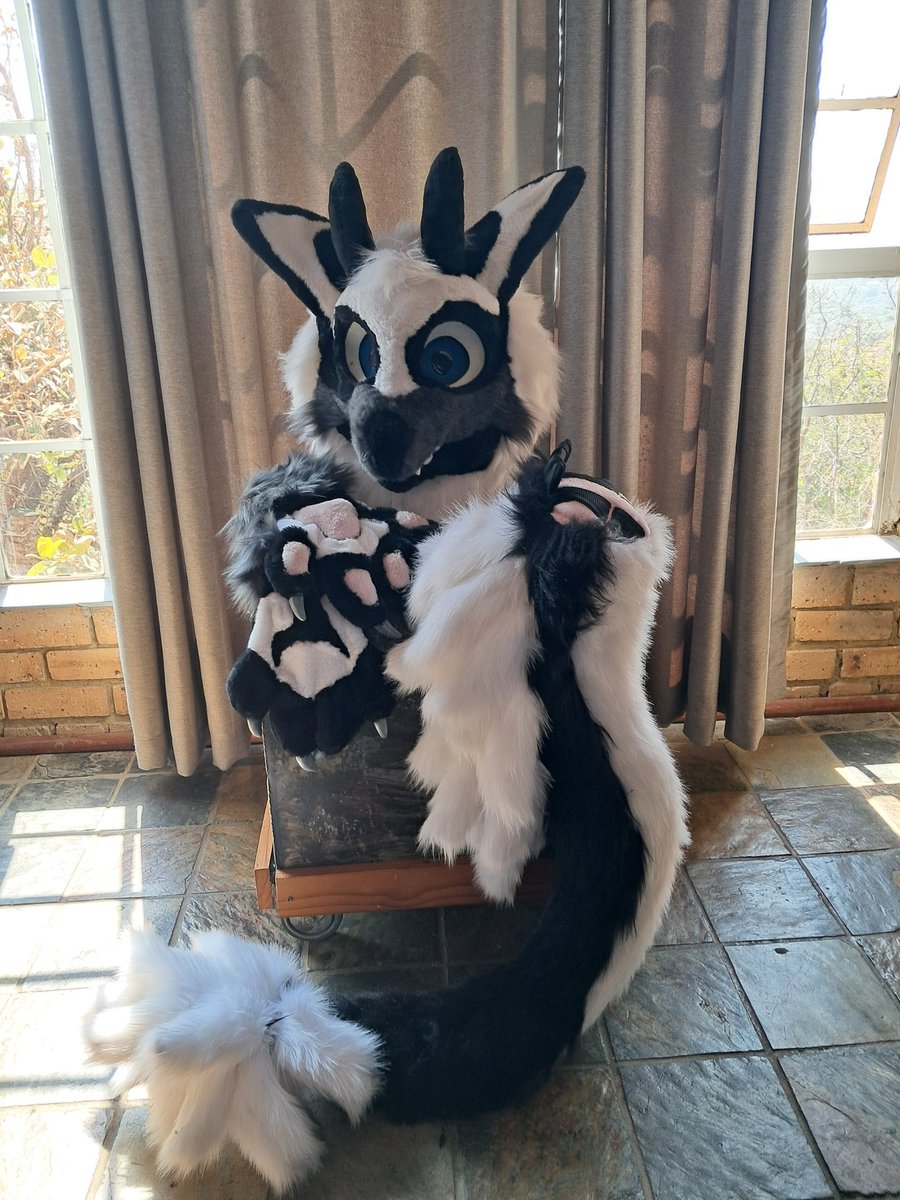 NCZASuits's tweet photo. New fluffy dragon on the block.  Client wanted fluffy.... I give you fluffy

#fusuitmaker #FursuitsFriday #fursuit #fursuitcomissionsopen https://t.co/fmWBq5RVVq