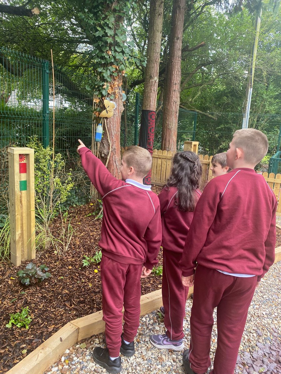 Robertstown National School tweet media
