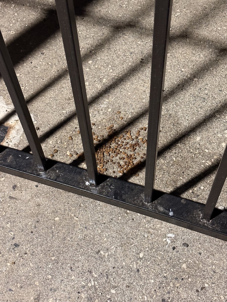 ⁦<a href="/TripleAMarbella/">Triple A Marbella</a>⁩ ⁦<a href="/Ayto_Marbella/">Ayto. Marbella</a>⁩ otra vez dejando comida en el suelo. Guarros! #artolabaja