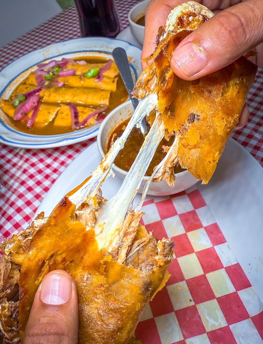 love_veracruz_'s tweet photo. Mi gente hermosa, los sábados y domingos son para disfrutar los #taquitos de #pibil y las deliciosas #quesabirrias de Tacos “El Tío" Horario de 9 am a 5 pm, en calle Cabo Corrientes #178 Inf. Las brisas. WhatsApp: 2295209043 #Veracruz https://t.co/0LcOSW1JV2