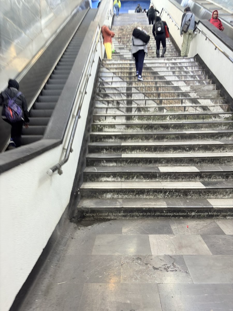 melytito's tweet photo. Ahora son las 2 escaleras, fuera de servicio estación Polanco @MetroCDMX https://t.co/cizCyV1VbL