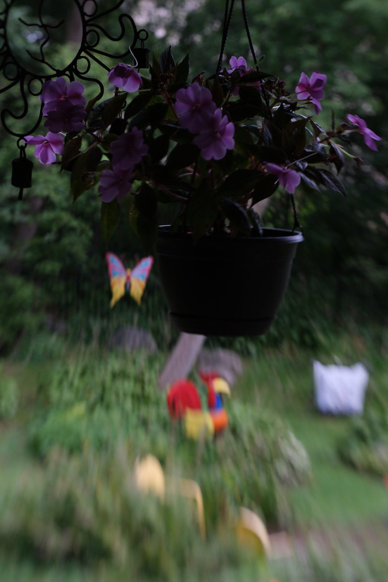 lumitakesphotos's tweet photo. Testing manual focus tilt lens https://t.co/OMRF3C9tOz