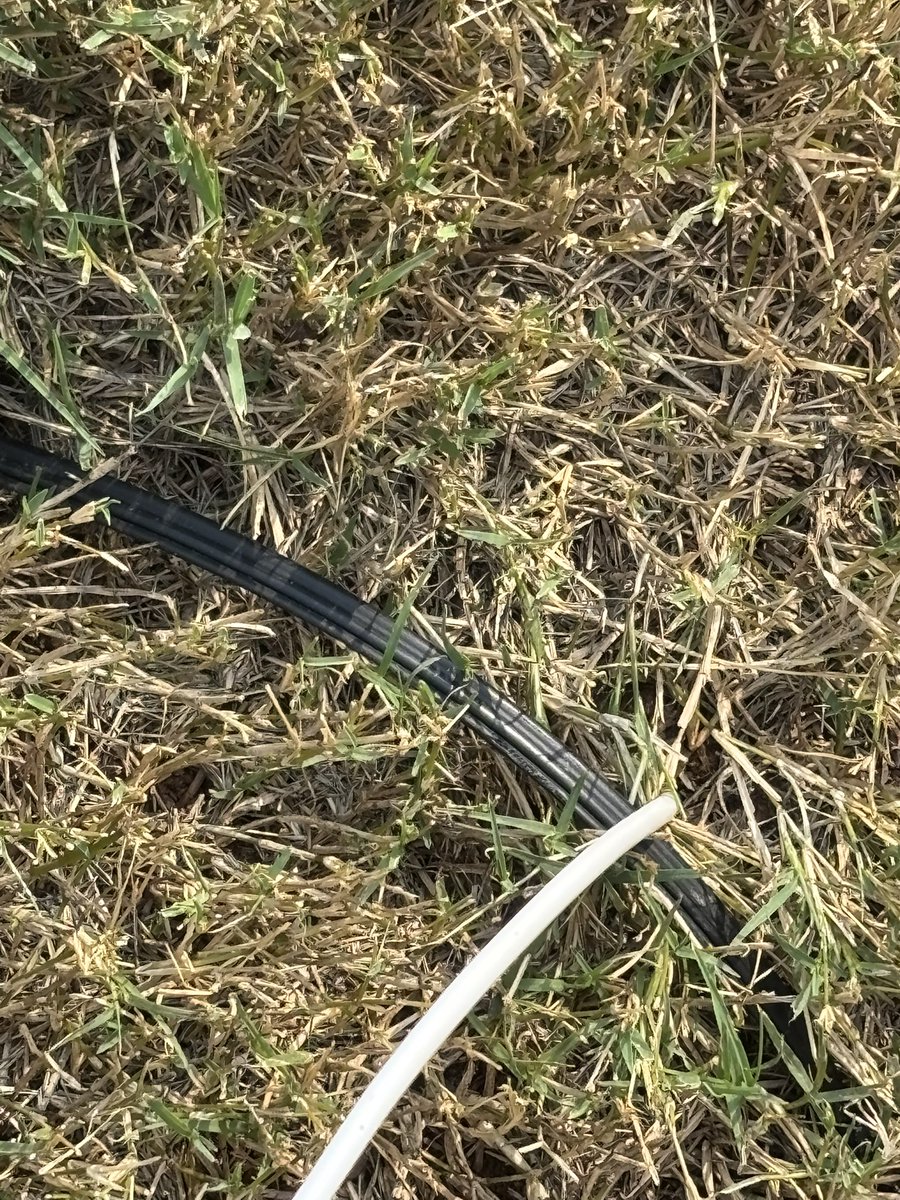 Coach Henson tweet media