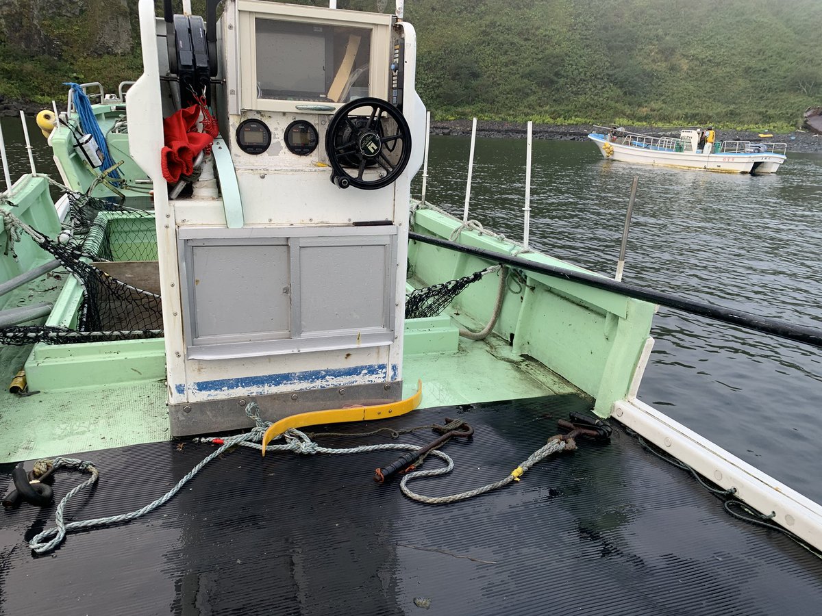 zenkai1114's tweet image. 今日は9月入って3回目の昆布漁✨行ってきまっすー🫡 #昆布漁 #腰が痛い