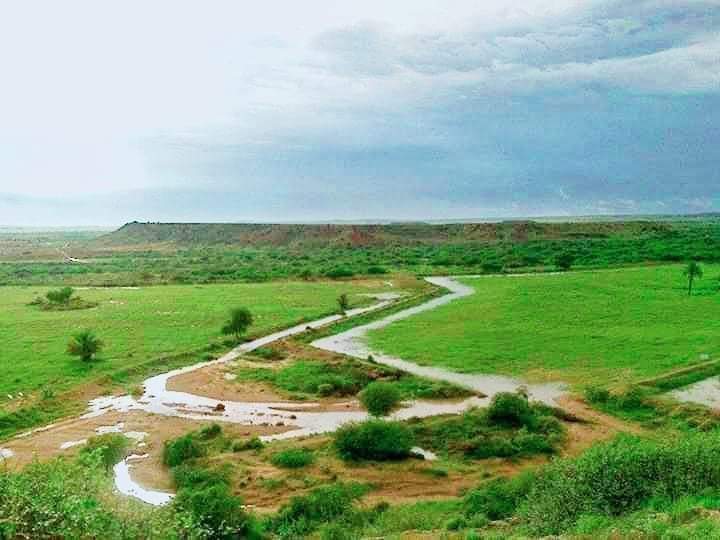 BalochHafeez201's tweet image. Malir is Karachi’s last green belt, once feeding the entire city. Its destruction is not just a local tragedy but an ecological disaster.
Education City = profit for the few, dispossession for the many.
Whose city is Karachi becoming?
4/4
#SaveKirthar
#SaveKohistan 
#SaveMalir