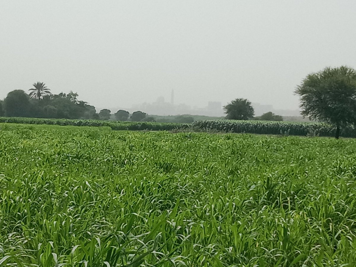 BalochHafeez201's tweet image. Malir is Karachi’s last green belt, once feeding the entire city. Its destruction is not just a local tragedy but an ecological disaster.
Education City = profit for the few, dispossession for the many.
Whose city is Karachi becoming?
4/4
#SaveKirthar
#SaveKohistan 
#SaveMalir