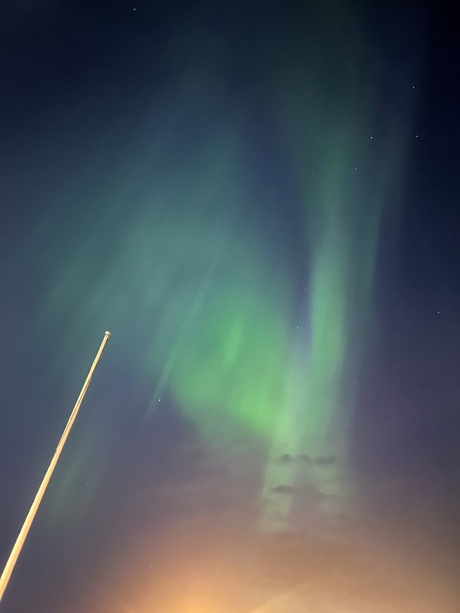 Pulse EXNY tweet media