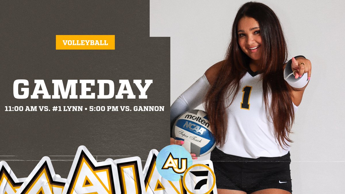 Adelphi Volleyball tweet media