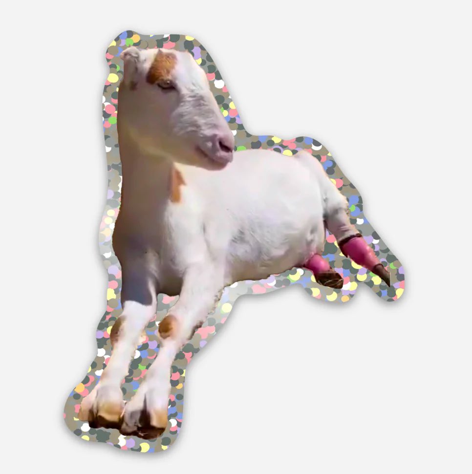 Barn Sanctuary tweet media