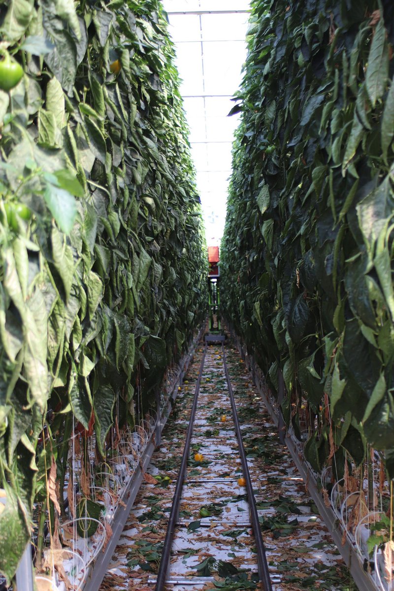 MDHALIWAL4BC's tweet photo. Had the opportunity to be part of the 2025 Government Farm Tour in Abbotsford–Chilliwack, connecting with local farmers, learning more about agriculture, and highlighting the importance of supporting our farming communities. 🌱🚜

#FarmTour2025 #Abbotsford #Chilliwack #BCFarms #SupportLocal #Agriculture #Community