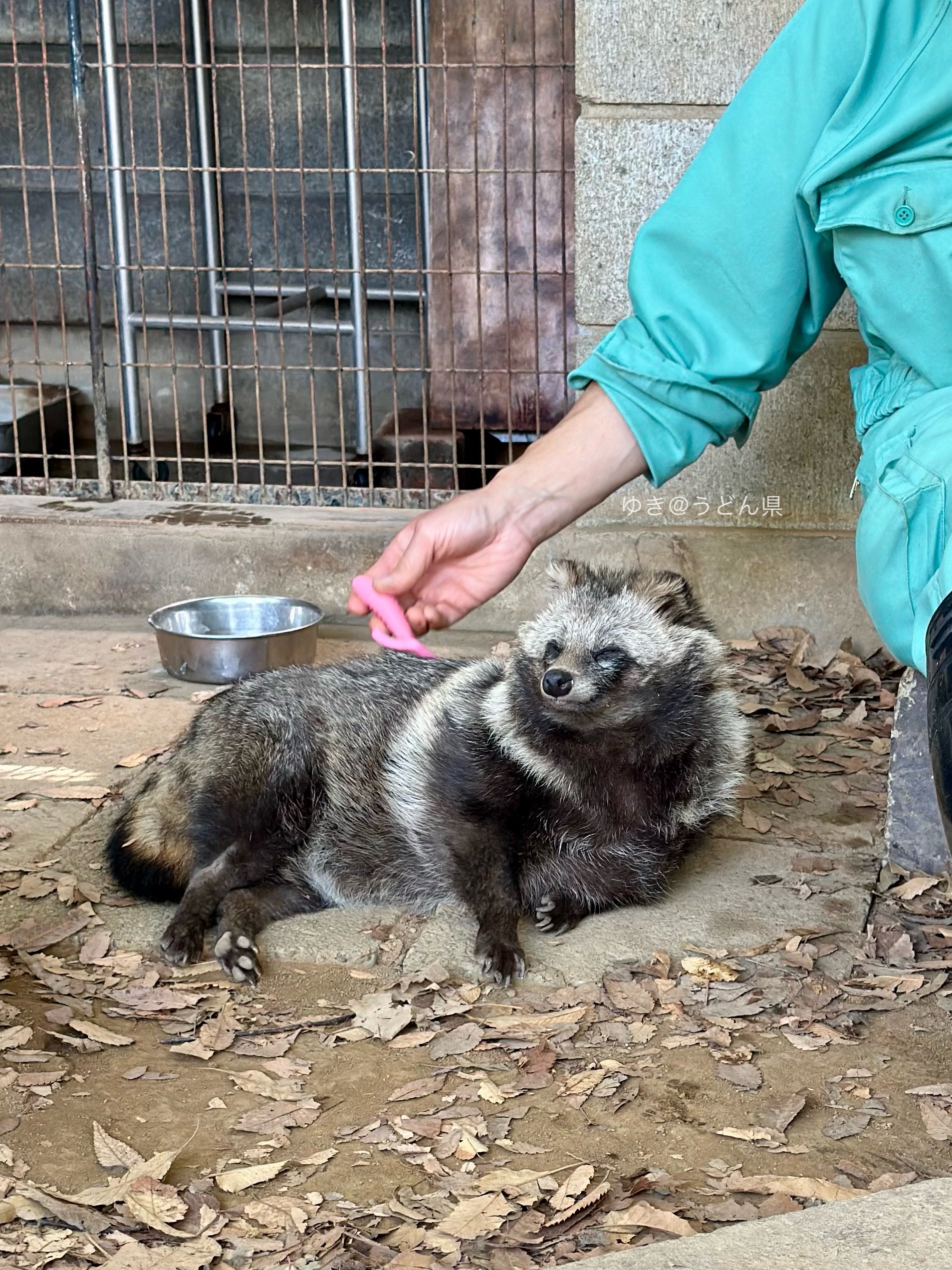 ターキー ※必ずプロフ確認して下さい ターキー ※必ずプロフ確認して下さい 様 専用 - メルカリ