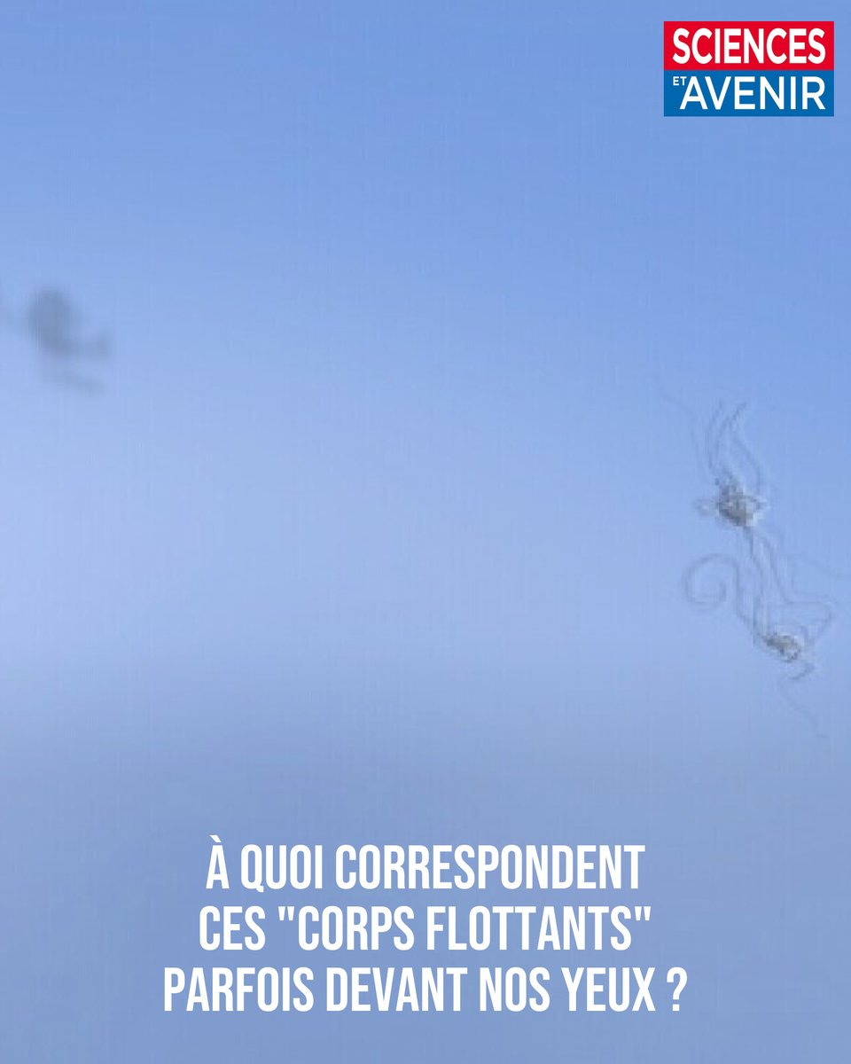 Sciences_Avenir's tweet photo. Ils sont, en réalité, très très proches de vos yeux 👀 
👉 https://t.co/TIpjN6d0Da https://t.co/WzBSftdO6X