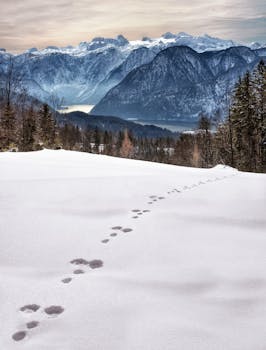 おはようがんばる